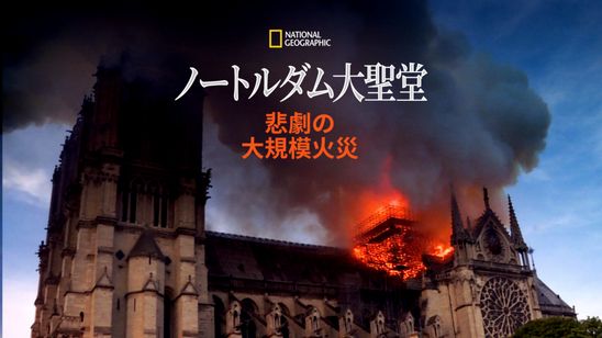 ノートルダム大聖堂：悲劇の大規模火災 メイン画像