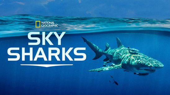 Sky Sharks メイン画像