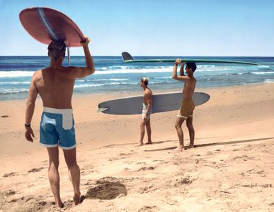 エンドレス・サマー デジタルリマスター版 メイン画像