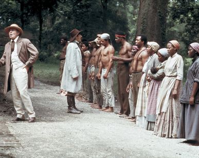 マンディンゴ メイン画像