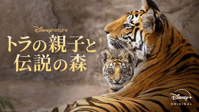 トラの親子と伝説の森