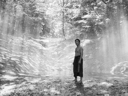 黒の牛 メイン画像