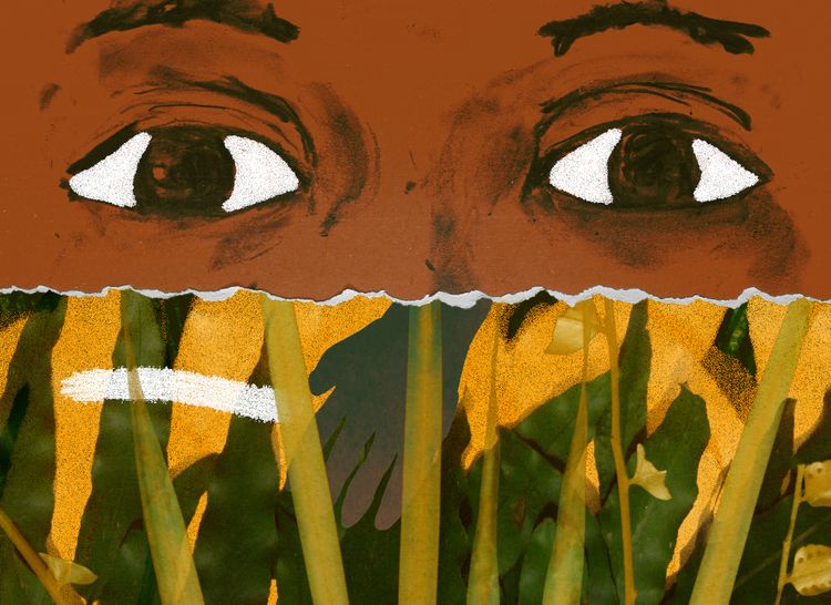 オリビアと雲 メイン画像