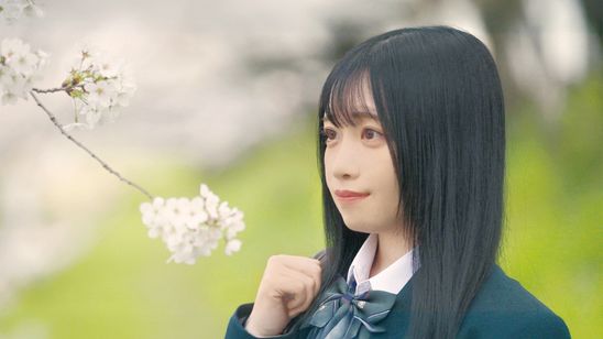 アオショー！ メイン画像