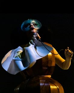 ビョーク：コーニュコピア メイン画像