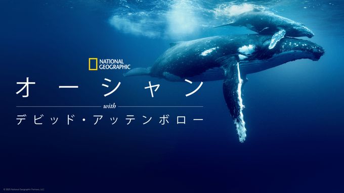 オーシャン with デビッド・アッテンボロー
