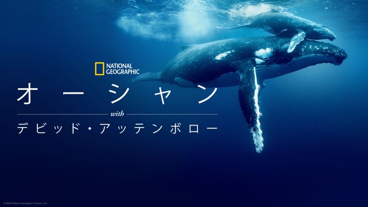 オーシャン with デビッド・アッテンボロー メイン画像