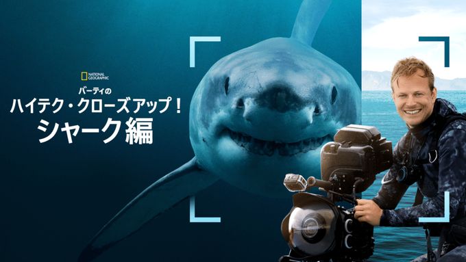 バーティのハイテク・クローズアップ！シャーク編
