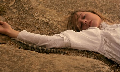 ピクニックａｔハンギングロック 画像3