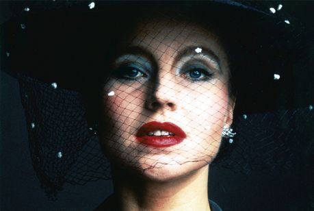 マリア・ブラウンの結婚 画像2