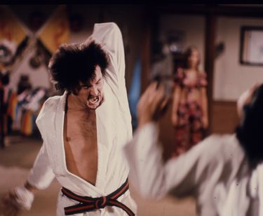 スカイ・ハイ(1975) 画像3