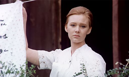 ひまわり(1970) 画像8