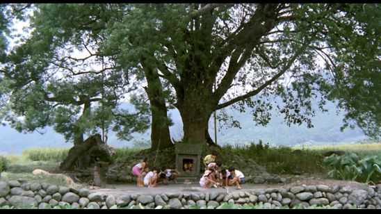 冬冬の夏休み 画像8