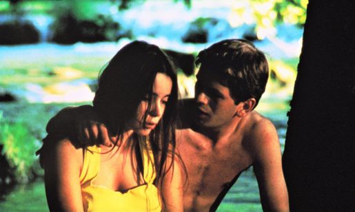 野性の葦 画像2