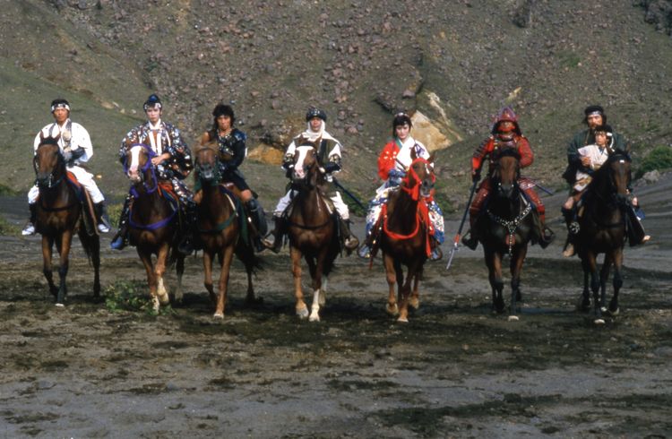 里見八犬伝(1983) 画像2