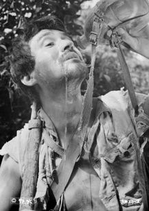 野火(1959) 画像3