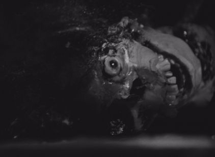 ナイト・オブ・ザ・リビングデッド(最終版) 画像3