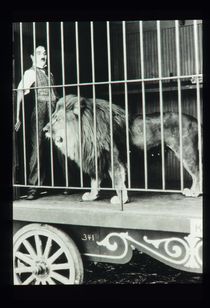 サーカス 画像5