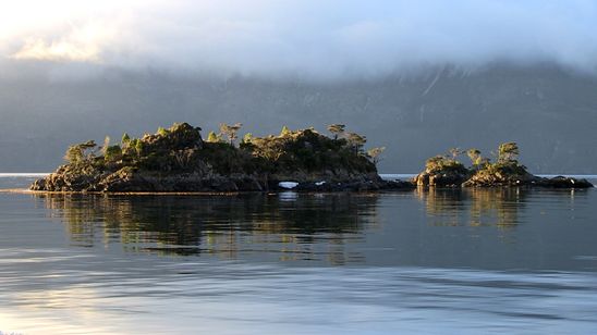 真珠のボタン 画像6