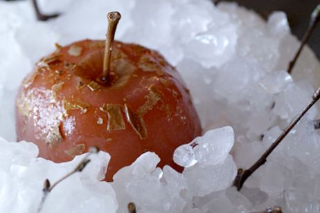 ノーマ、世界を変える料理 画像5