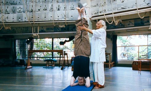 聖なる呼吸：ヨガのルーツに出会う旅 画像8