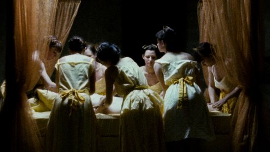 ネクター 画像6