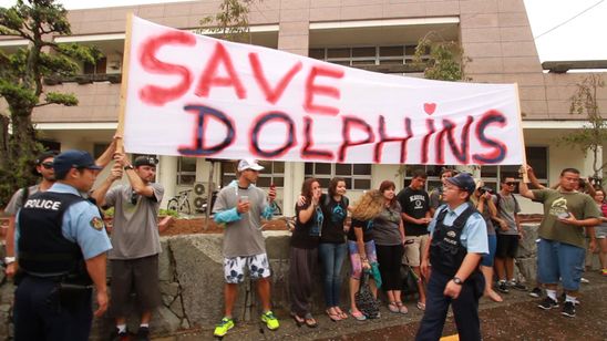 おクジラさま ふたつの正義の物語 画像3