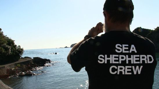 おクジラさま ふたつの正義の物語 画像4