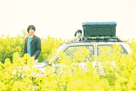 旅猫リポート 画像4