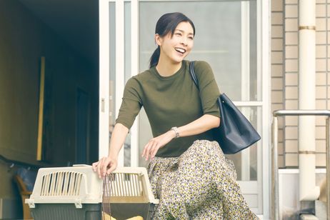 旅猫リポート 画像8