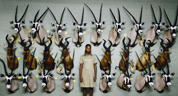 サファリ(2016) 画像4