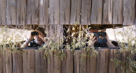 サファリ(2016) 画像7