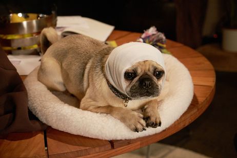 ブルーム・オブ・イエスタディ 画像4