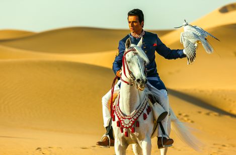 カンフー・ヨガ 画像6