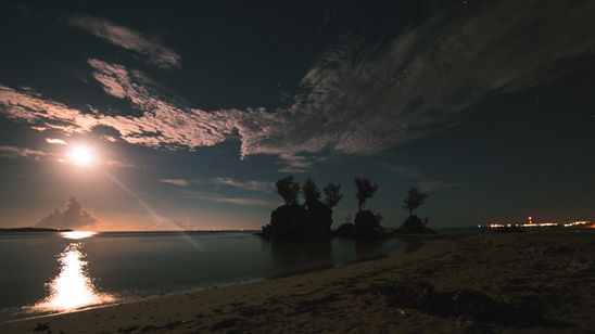 ＺＡＮ　ジュゴンが姿を見せるとき 画像2