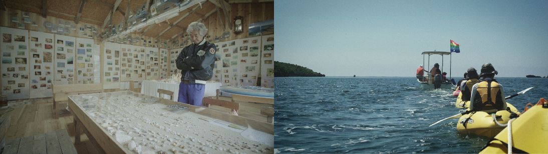 ＺＡＮ　ジュゴンが姿を見せるとき 画像8