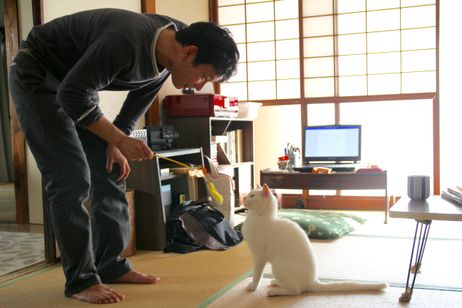 愛しのノラ 幸せのめぐり逢い 画像2