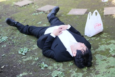 愛しのノラ 幸せのめぐり逢い 画像5