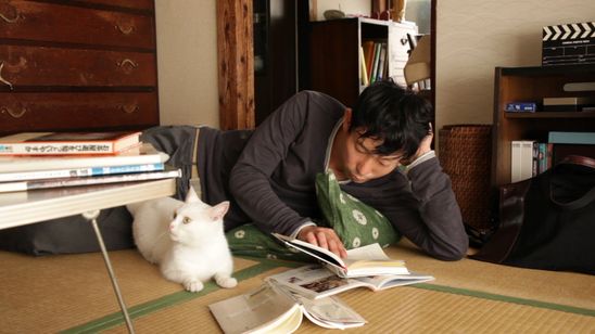 愛しのノラ 幸せのめぐり逢い 画像6