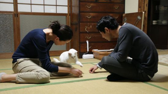 愛しのノラ 幸せのめぐり逢い 画像7