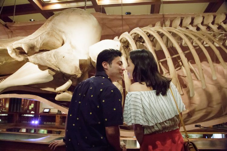 50回目のファーストキス 画像9
