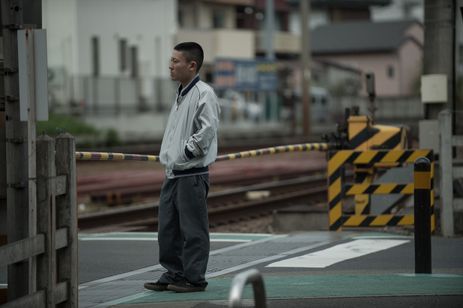 枝葉のこと 画像3