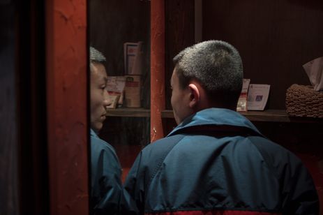 枝葉のこと 画像4