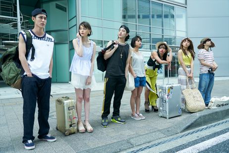 チワワちゃん 画像2