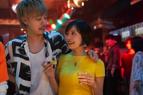 チワワちゃん 画像3