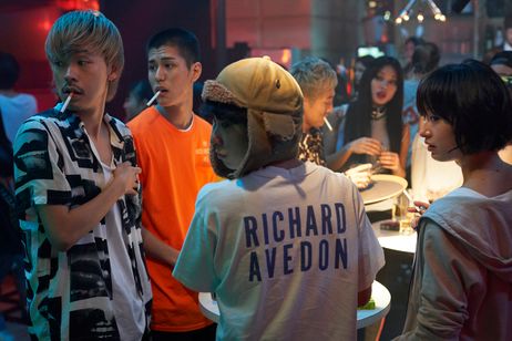 チワワちゃん 画像6