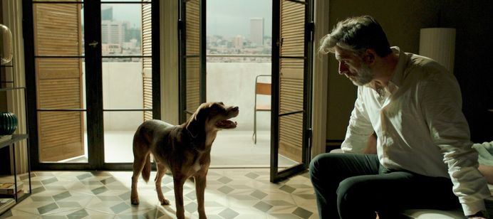 運命は踊る 画像3