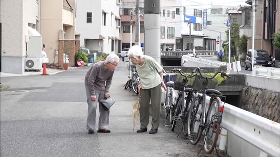 ぼけますから、よろしくお願いします。 画像5