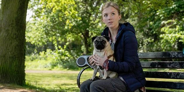 パグ・アクチュアリー ダメな私のワンダフル・ライフ 画像2