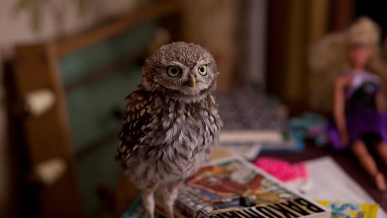 マチルド、翼を広げ 画像3